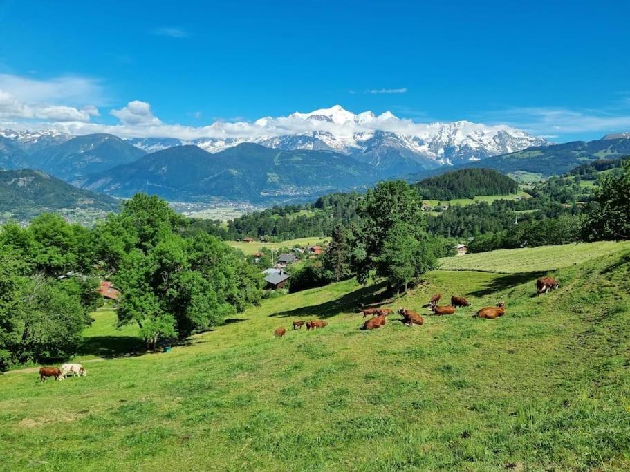 A Cordon Entre Bois Et Nature Esterno foto