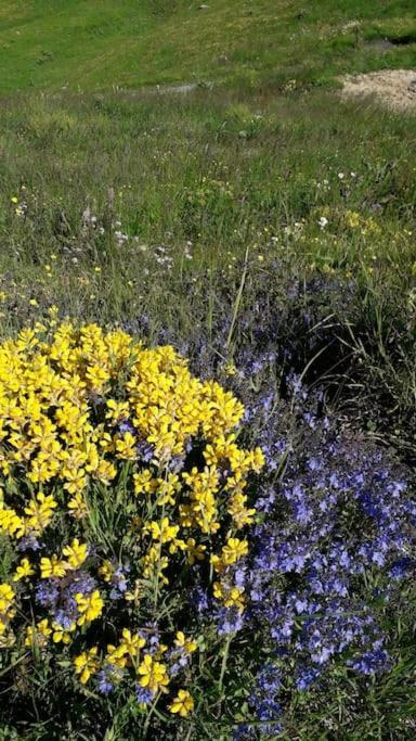A Cordon Entre Bois Et Nature Esterno foto