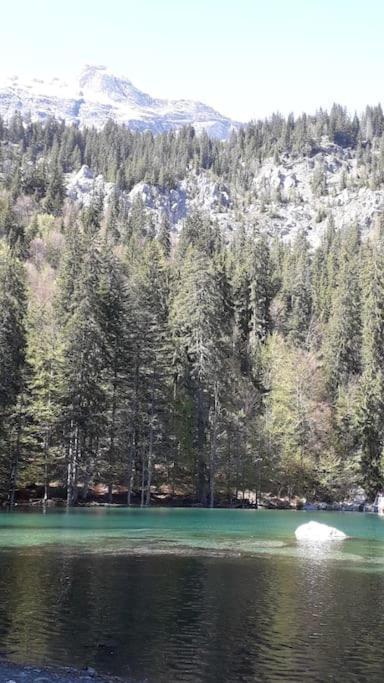 A Cordon Entre Bois Et Nature Esterno foto